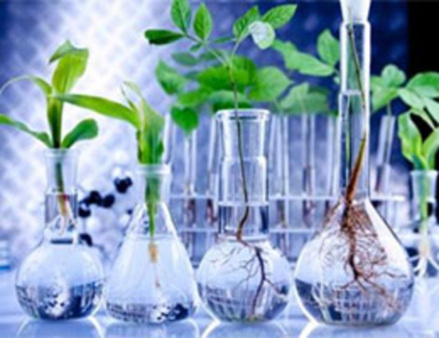 Biotecnología moderna