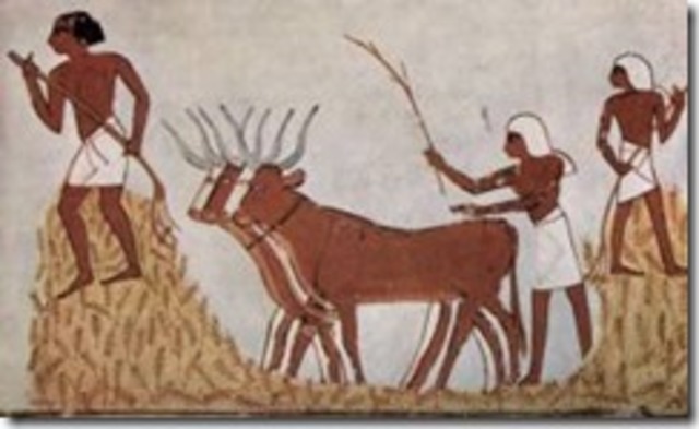 Revolución Agrícola.