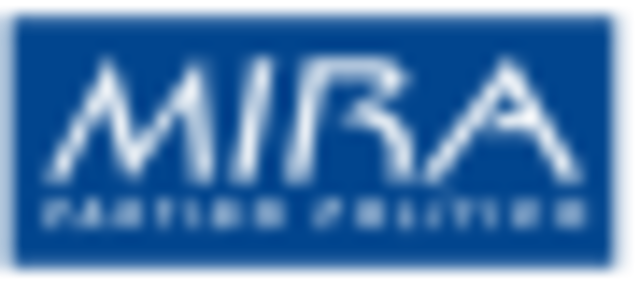 Movimiento Independiente de Revolución Absoluta (MIRA)