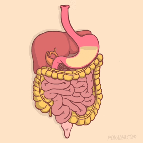 Respuesta interconsulta servicio de gastroenterología