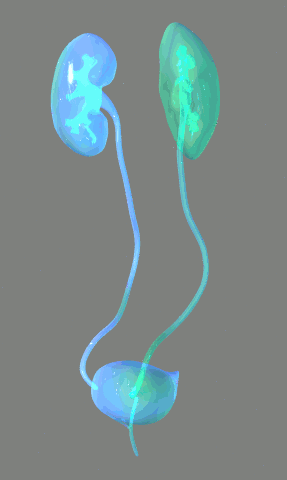 Evolución de la paciente (Part 2)