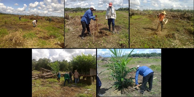 Alimentos (10400 a.c)