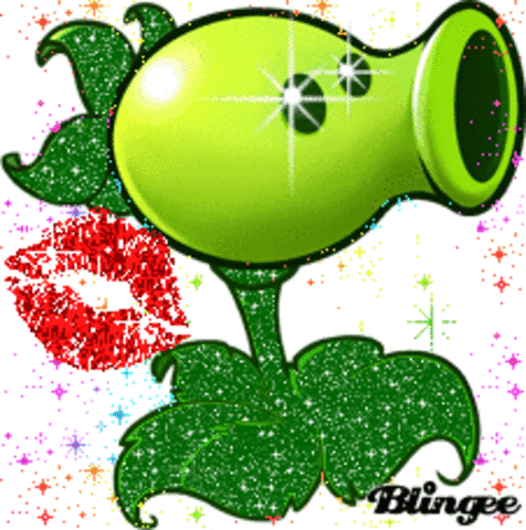 FOTOSINTESIS Y FOTORESPIRACION