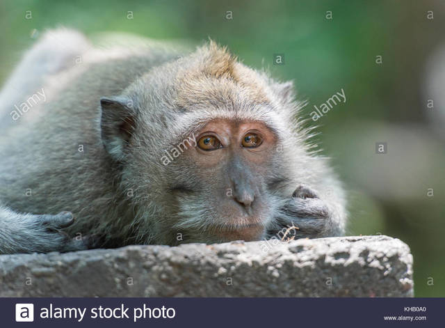 Wildlife Ben and Liam