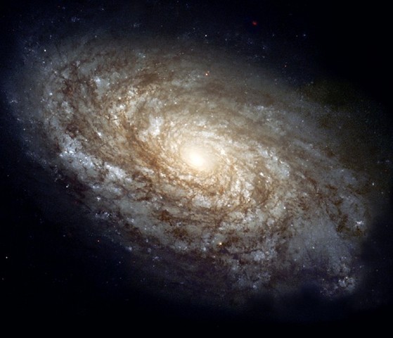 Project Proposals Due