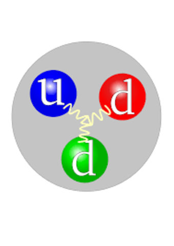Descobriment del Neutró