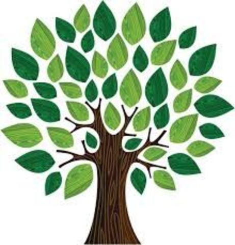 Noción de educación Pestalozzi