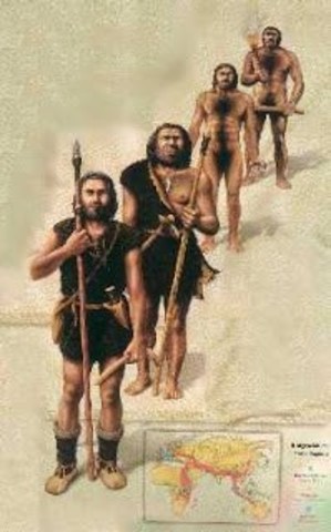 - Homo Sapiens (Hombre Actual)