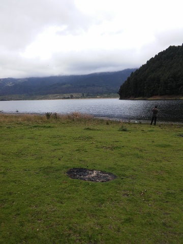 Cornelius Bernardus van Niel