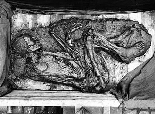 Tollund man: Discovery