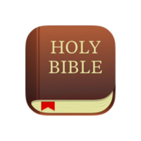 I started reading my Bible