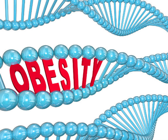 Obesity Gene Identified