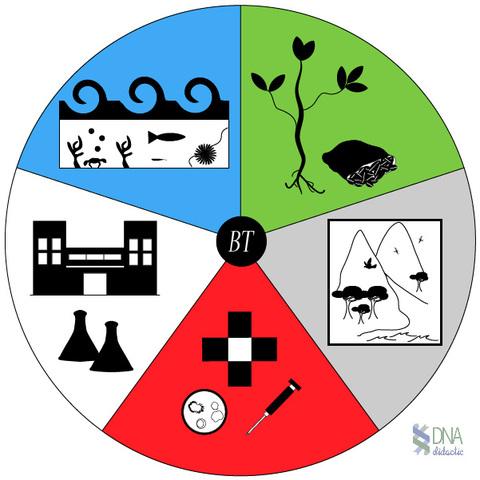 APLICACIÓN BIOTECNICA