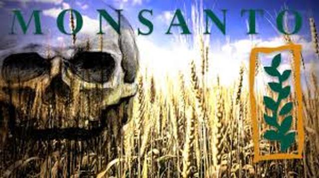 MONSANTO