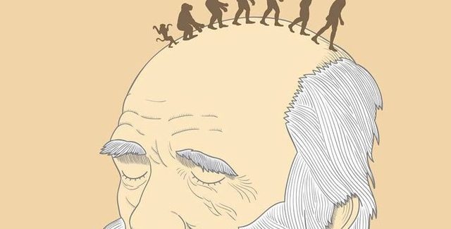 TEORÍA EVOLUCIONISTA