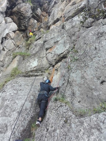 2017ESCALANDO FACTORES ABIOTICOS