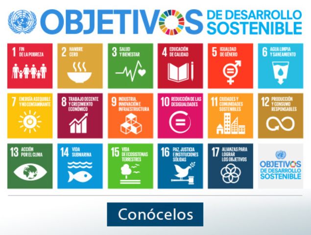 ODM - Conpes 091 ODM. ENSIN 2005