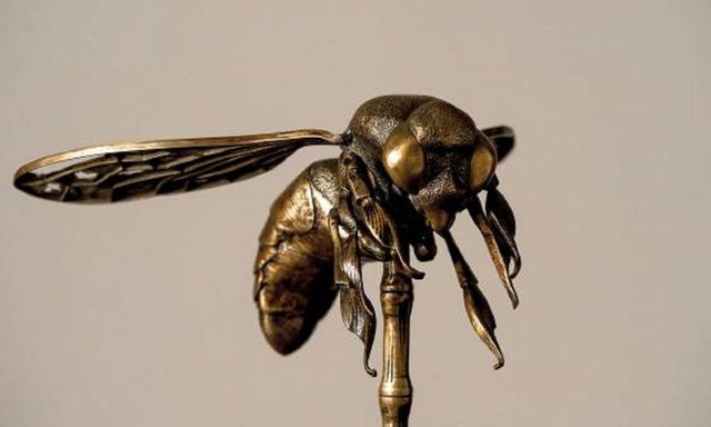 Cooperativa obrera mataronense