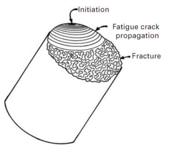Estudios de la fatiga