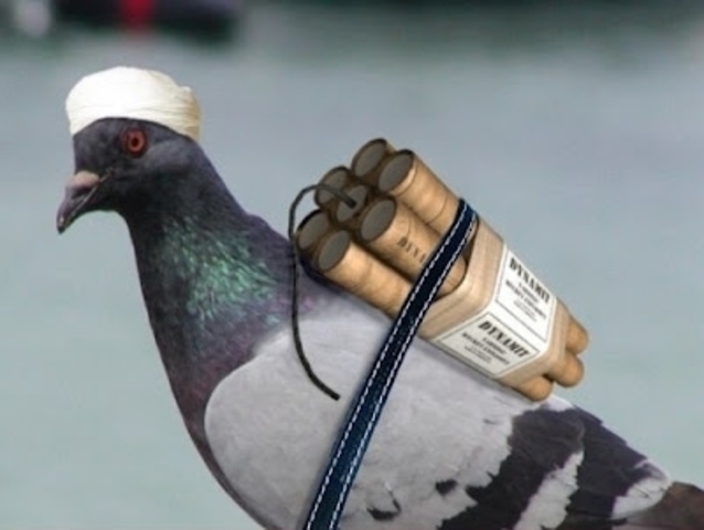 organización terrorista