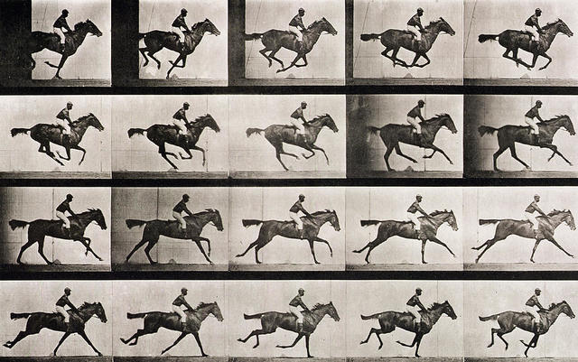 Eadweard Muybridge creates the first motion picture. (By accident)