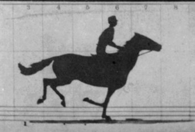 First Moving Picture of a Horse Gallop