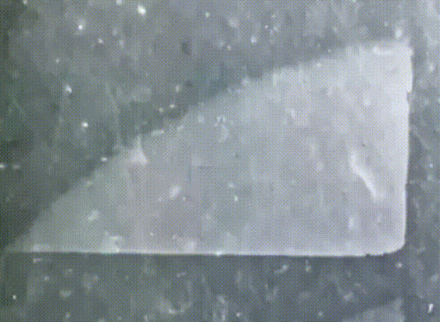 Photographs of the Transit of Venus Across the Sun