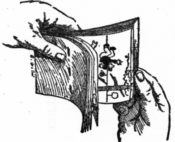 Flipbook/Kineograph
