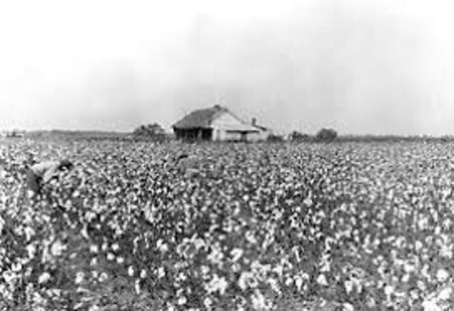 Farm Production Control Program