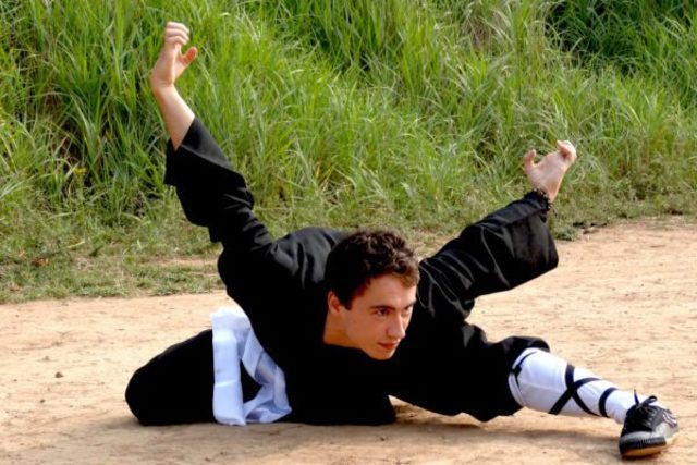 maybe i will learn kung fu