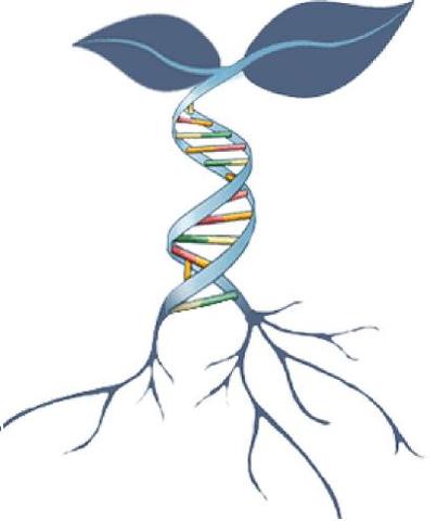 Beneficios de la biotecnología