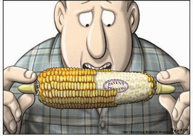 Desventajas de la biotecnología