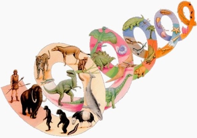 Teoría evolucionista