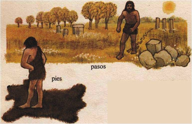 Unidades de Medida Inicial