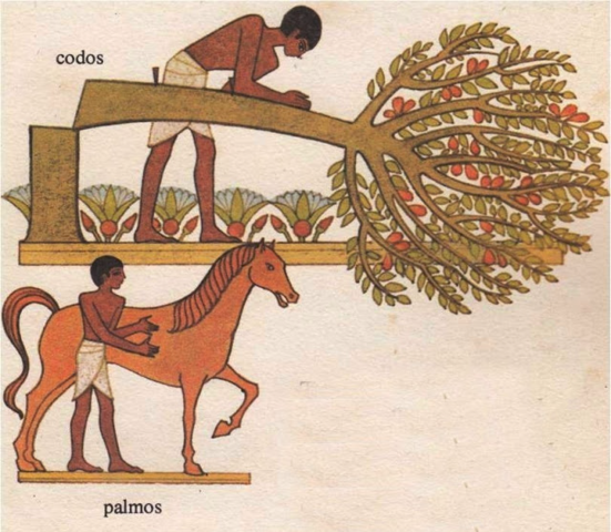 El Codo y Los Palmos