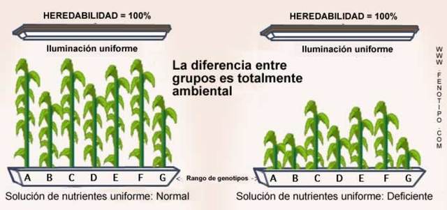 Interacción con el ambiente
