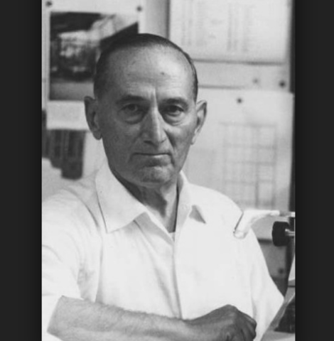 Marcello Nizzoli is born