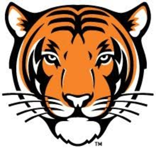 Fitzgerald Contributes in Writting Princeton Tiger