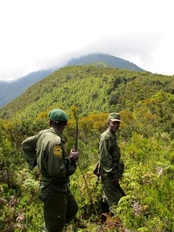 Je vais dans la Mount Kahuza Volcano avec mon pere et mon frere dans l'apres-midi