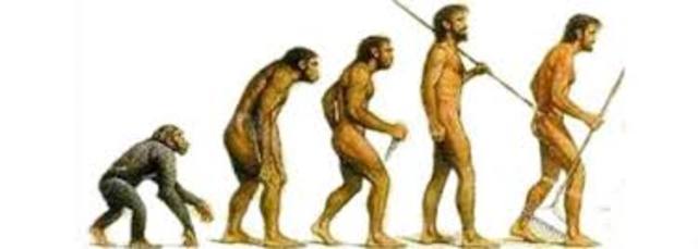 Día Jueves: Selección Natural