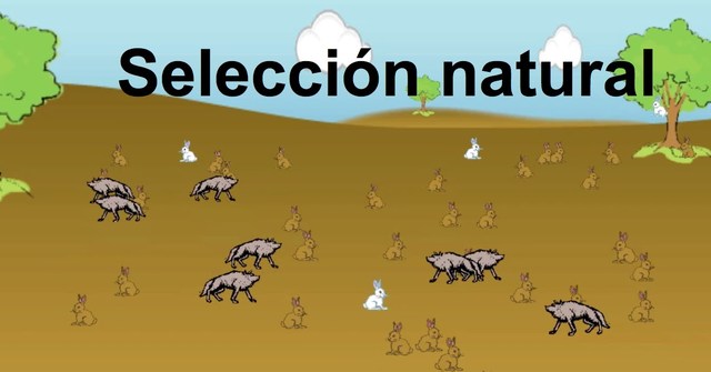 SELECCION NATURAL