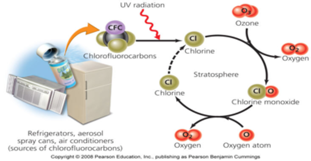 Clorofluorocarbonado