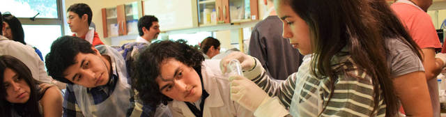 Ingeniería genética