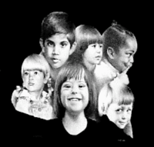 Ley de normalización