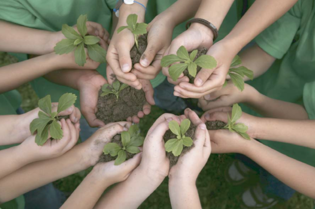Publicación educación ambiental