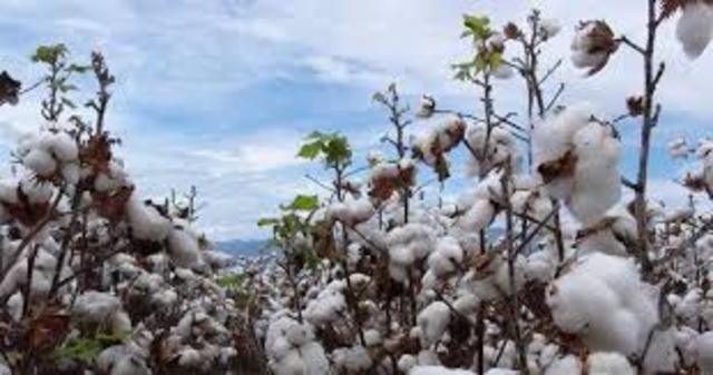 TEXTILERIA PRIMEROS PASOS