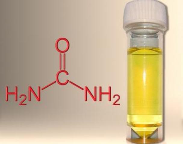 Wöhler: síntesis de la urea.