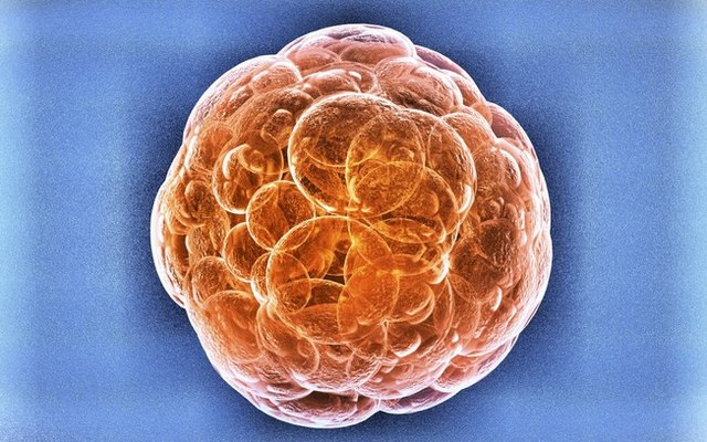 Surgimento do Primeiro Ser Vivo