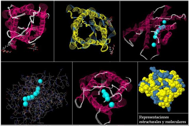 SISTEMA DE PLOMERÍA DE LAS CÉLULAS