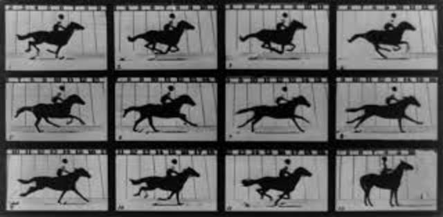 25,000 dollar bet(creation of the film)